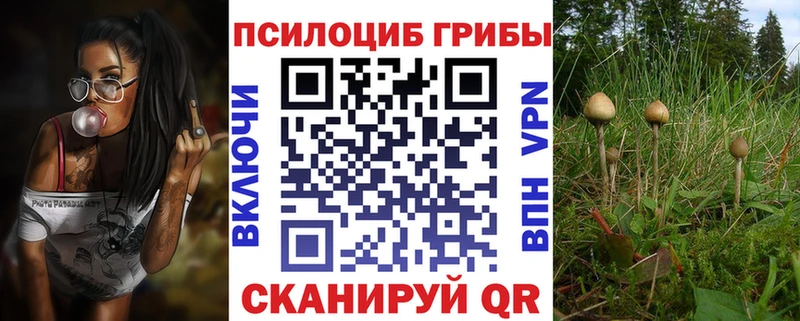 закладка  Уссурийск  Галлюциногенные грибы прущие грибы 