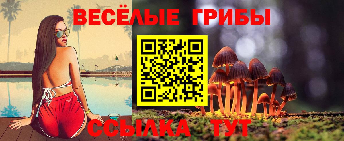 Псилоцибиновые грибы ЛСД  Вход с VPN  где найти наркотики  Уссурийск 