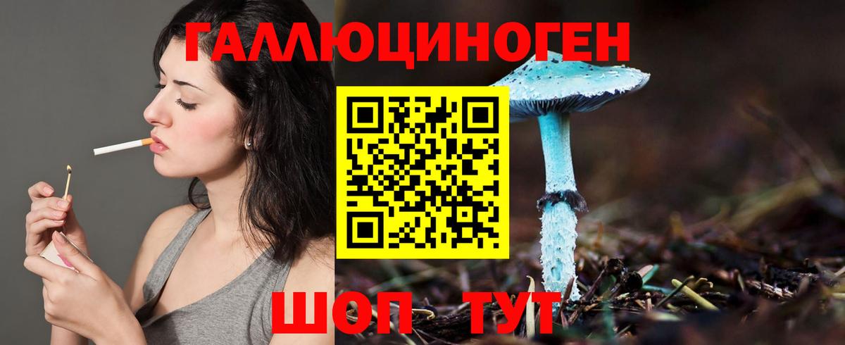 Галлюциногенные грибы GOLDEN TEACHER Уссурийск